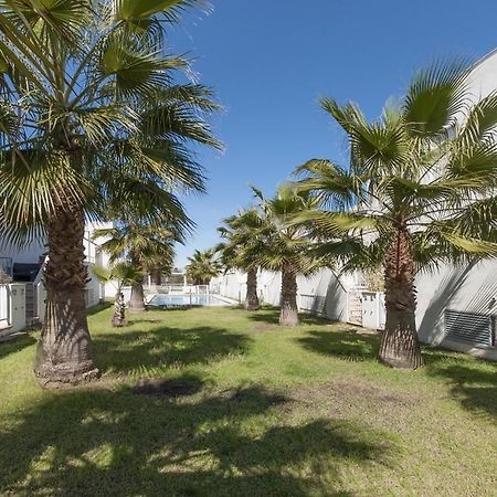 Escala Oliva Exterior foto